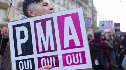 &nbsp; (Plus de 100000 personnes ont manifeste dans les rues de Paris le 24 octobre 2013 pour le passage au parlement du mariage pour tous et de l'accès à l'adoption et à la PMA © Maxppp/Jean Rene Auge/Wostok Press)