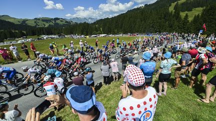 Le peloton du Tour de France lors de la neuvième étape, entre Aigle&nbsp;et Châtel les Portes du Soleil, le 10 juillet 2022. (DAVID STOCKMAN / BELGA MAG)