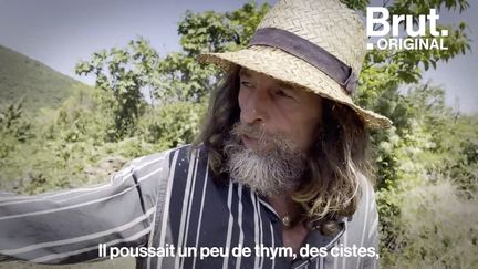 Pascal Poot cultive plus de 200 variétés de légumes capables de résister à la sécheresse et aux maladies, sans pesticides. Pour ce producteur de semences paysannes, c'est le résultat de 35 ans de recherches. Pendant ce temps-là, au pied du plateau du Larzac...