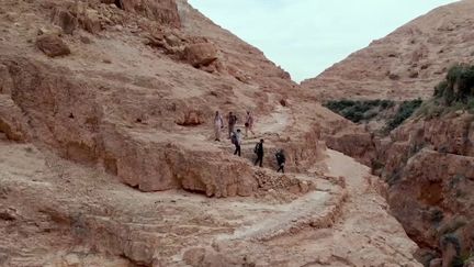 Entre mer, canyon et désert, la rédaction de France 2 vous emmène sur le sentier d'Abraham : une randonnée de plus de 300 kilomètres qui traverse la Cisjordanie. (France 2)