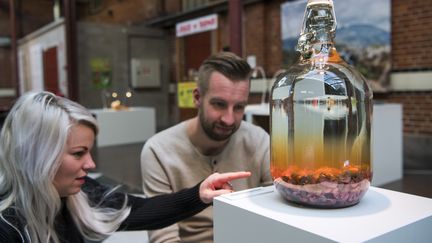 en Suède, le musée des plats dégoûtants