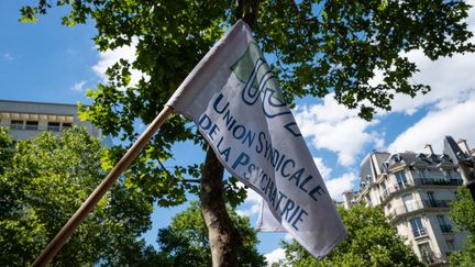 Une précédente journée d'action et de grève des psychiatres hospitaliers, le 28 juin 2022 à Paris.&nbsp; (RICCARDO MILANI / HANS LUCAS / AFP)