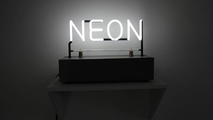 C'est une exposition des plus originale qui se tient depuis le 17 f&eacute;vrier &agrave; La Maison Rouge (Paris 4e). (JOSEPH KOSUTH / GALERIE ALMINE RECH)