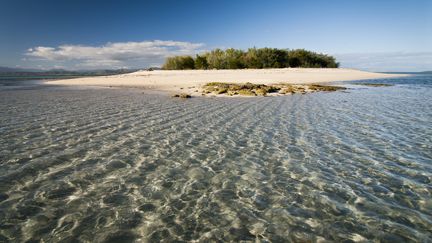 Les lagons de Nouvelle-Cal&eacute;donie.&nbsp;Ces r&eacute;cifs coraliens&nbsp;abritent des &eacute;cosyst&egrave;mes rest&eacute;s intacts et peupl&eacute;s d'une biodiversit&eacute; marine rare&nbsp;: des tortues, des baleines ou des dugongs.&nbsp; (NICOLAS-ALAIN PETIT / BIOSPHOTO / AFP)