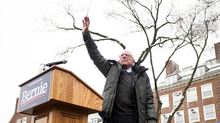 Le sénateur américain Bernie Sanders en meeting à New York, le 2 mars 2019. (JOHANNES EISELE / AFP)