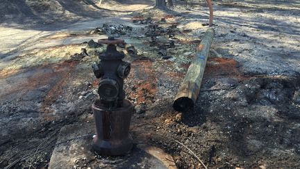 Les traces de l'incendie aux Pennes-Mirabeau, le 11 aout 2016. (Robin Prudent/Francetv info)