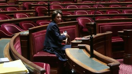 La ministre&nbsp;des Affaires sociales et de la Sant&eacute;, Marisol Touraine, lors d'une session sur la r&eacute;forme des retraites au S&eacute;nat, le 28 octobre 2013 &agrave; Paris. (JACQUES DEMARTHON / AFP)