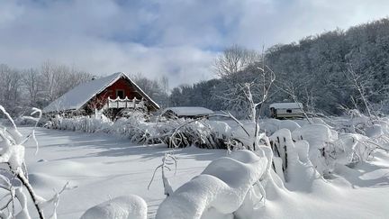 Chalet éco-responsable dans le massif du Sancy en Auvergne à réserver sur le site greengo.voyage. (GREENGO VOYAGE)