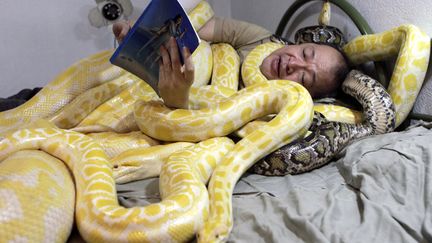 Un propri&eacute;taire de zoo lit un livre en compagnie de ses serpents&nbsp;&agrave; Manille (Philippines), le 3 f&eacute;vrier 2013. (ERIK DE CASTRO / REUTERS)