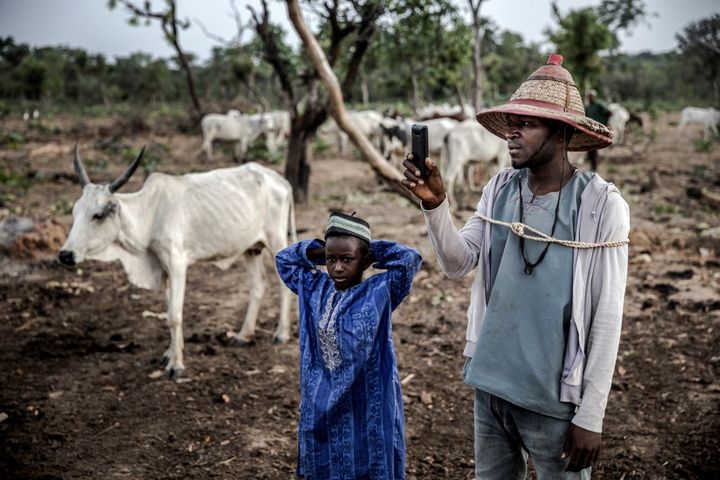 Un berger Fulani prend en photo son troupeau sur son portable, dans l'Etat de Kaduna, en avril 2019. Au Nigeria, comme dans de nombreux pays d'Afrique, l'usage du téléphone portable est devenu incontournable.&nbsp; (LUIS TATO / AFP)