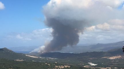 Les feux se sont déclarés près de Propriano (Corse-du-Sud), mardi 25 juillet.&nbsp; (SDIS CORSE-DU-SUD / TWITTER)