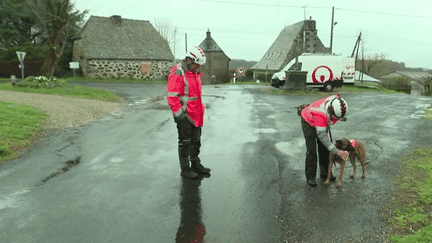 Sécheresse : des chiens pour détecter des fuites d’eau (France 2)