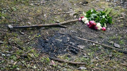 Un bouquet de rose d&eacute;pos&eacute; sur le lieu de la tuerie de Chevaline (Haute-Savoie), le 8 septembre 2012. (PHILIPPE DESMAZES / AFP)