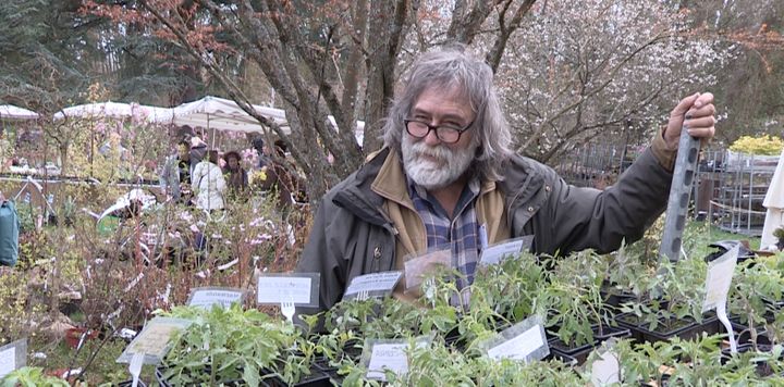 Jean-Marc Parra, pépiniériste spécialisé dans les plantes condimentaires et aromatiques.&nbsp; (ISABELLE MORAND / RADIO FRANCE / FRANCE INFO)