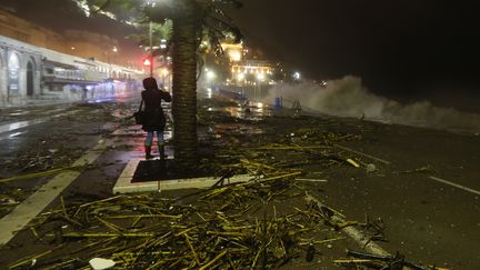 La "promenade des Anglais" &agrave; Nice apr&egrave;s les intemp&eacute;ries, le 4 novembre 2014. (VALERY HACHE / AFP)