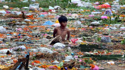 Un jeune chiffonnier r&eacute;cup&egrave;re des objets parmi les nombreuses offrandes au dieu Ganesh distribu&eacute;es &agrave; l'occasion d'un festival en son honneur &agrave; Bhopal (Inde), le 9 septembre 2014. (MAXPPP)