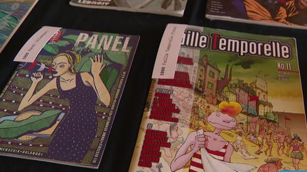 Les fanzines alternatives primées à Angoulême depuis 40 ans (France 3)