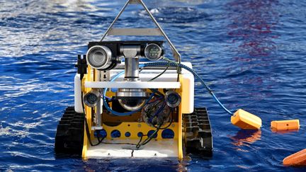 BathyBot, le robot sous-marin. (AFP)