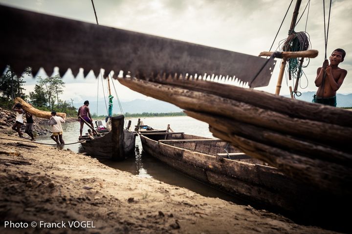 &nbsp; (La récolte de bois flotté est une importante source de revenu pour les Indiens. © Géo  Franck Vogel)