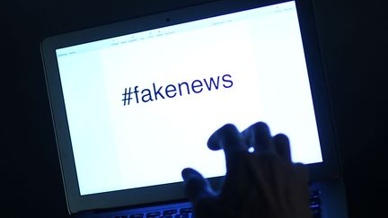 Un peu plus d'un Français sur deux s'estime capable d'identifier une "fake news", selon une étude Ipsos publiée le 7 septembre 2018.&nbsp; (HELMUT FOHRINGER / AFP)