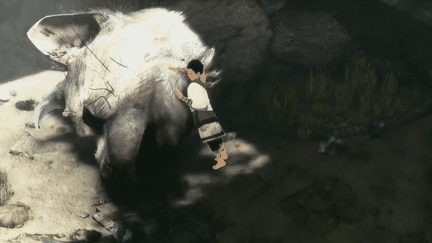 The Last Guardian (SONY)