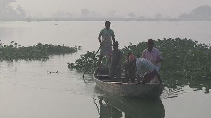 12.000 hectares de marais aux portes de Calcutta. (copie d&#039;écran FTV)