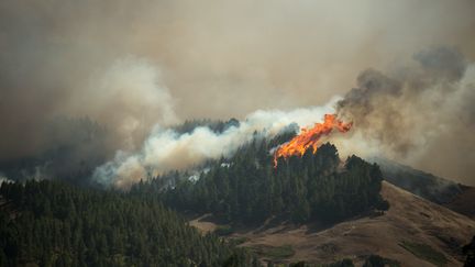 Un important incendie&nbsp;touche le parc naturel de Tamadaha, sur l'île espagnole de Grande Canarie, le 18 août 2019. (DESIREE MARTIN / AFP)