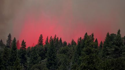 Le retardant reste dans l'air après avoir été largué par un avion des pompiers en Californie, près de Jeseydale, le 24 juillet 2022. (JUSTIN SULLIVAN / GETTY IMAGES NORTH AMERICA)