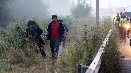 Des migrants marchent au bord de l'autoroute A 16, en août 2016. (JEAN-PIERRE BRUNET / MAXPPP)