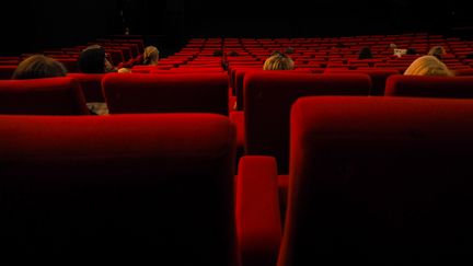 Un cinéma Gaumont à Paris (12 mai 2018) (RICCARDO MILANI / HANS LUCAS / AFP)