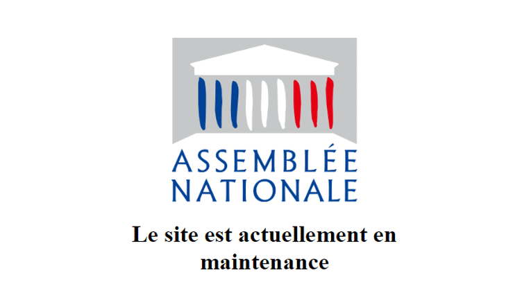 The site of the National Assembly no longer worked, March 27, 2023. (Screenshot from the site)