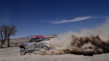 Orlando Terranova (Mini) - Dakar 2015