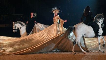 "Métamorphose", spectacle équestre à Chantilly (2016 - 2017)
 (MEHDI FEDOUACH / AFP)