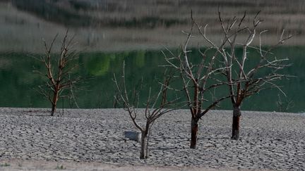 Le niveau du réservoir de Sau (Catalogne), en baisse, à cause de la sécheresse que connaît l'Espagne, le 16 avril 2023. (JOSEP LAGO / AFP)