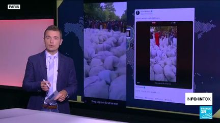 Non, ce ne sont pas des images de femmes vendues en Ethiopie (France 24)