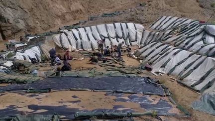 Depuis 2012, plus de 2 000 empreintes de pas et de mains remontant à l'homme de Néandertal ont été relevées sur le site du Rozel, dans la Manche.&nbsp; (FRANCE 2)