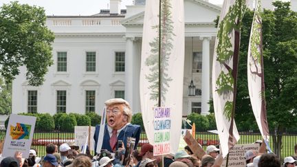 Climat : quelles conséquences après la décision de Donald Trump ?