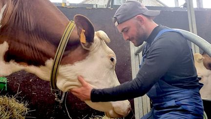 Adrien Blua et une de ses vaches laitières, Playa (Adrien Blua)