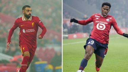 DIRECT. Liverpool-Lille : déjà qualifié, le Losc défie les Reds, invincibles leaders à Anfield... Suivez avec nous le match de Ligue des champions