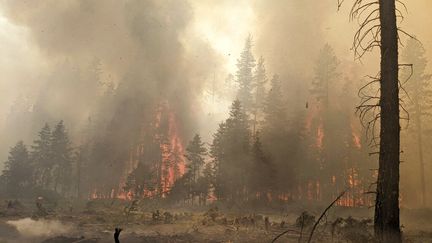 Une photo d'un incendie, le&nbsp;Bootleg Fire, qui a ravagé le sud de l'Oregon aux Etats-Unis, prise le 25 juillet 2021. (BOOTLEG FIRE INCIDENT COMMAND / AP)