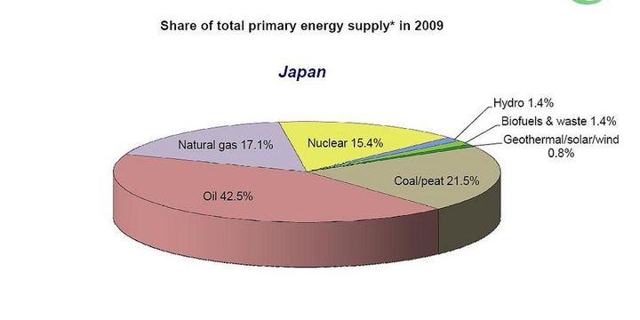 Production d'énergie estimée par l'Agence internationale de l'énergie en 2009. (FTV)