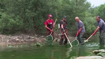 Les incendies sont très nombreux cet été, et la sécheresse n’arrange rien. 93 départements sont désormais touchés et soumis à des restrictions d’eau. Les rivières sont à sec, notamment en Haute-Loire et dans le Gard. Des bénévoles se mobilisent pour sauver les poissons.
 (FRANCE 3)