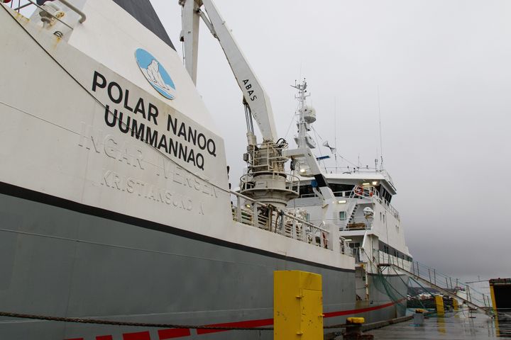 Le bateau Polar Nanoq accosté au port de&nbsp;Hafnarfjordur en Islande, le 23 janvier 2017. (BIRGIR THOR HARDARSON / KJARNINN)