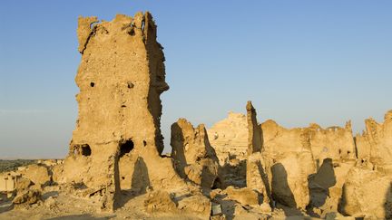 Shali a été la capitale de cet oasis situé à 240 km à l'Est du Caire. Construit dans une sorte de pisé, elle est en ruine.&nbsp; (MATTES RENE / HEMIS.FR / AFP)