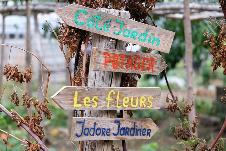 Le jardin "La Source" s'étend sur 400 mètres carrés.&nbsp; (ISABELLE MORAND / DIDIER HIRSCH / RADIO FRANCE / FRANCE INFO)