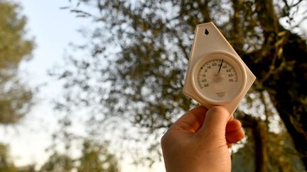 Les températures pourront grimper jusqu'à 35 degrés lundi 4 septembre (photo d'illustration). (PATRICE MASANTE / MAXPPP)