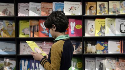 Un lecteur au Salon du Livre jeunesse de Montreuil.
 (Stéphane de Sakutin / AFP)