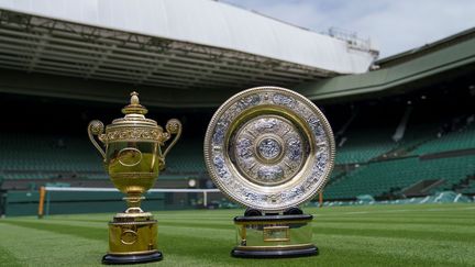 Presentation à la presse dans l'enceinte de Wimbledon à Londres, le 26 juin 2021, des trophées remis aux vainqueurs du célèbre tournoi britannique. (Illustration) (AELTC / THOMAS LOVELOCK / AFP / POOL)