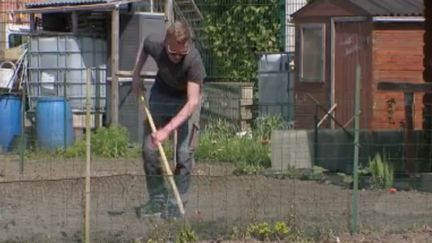 Confinement : jardiner pour s'aérer en restant chez soi