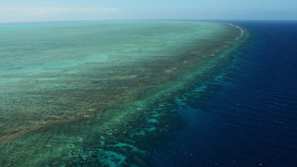 La Grande barrière de corail en Australie. (PHIL WALTER / GETTY IMAGES ASIAPAC)